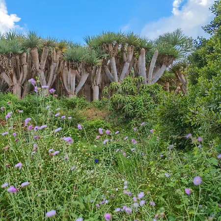 Dragos Y Volcan Prázdninový dům *