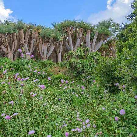 Tatil Evi Dragos Y Volcan